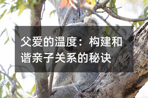 父愛的溫度:構(gòu)建和諧親子關(guān)系的秘訣