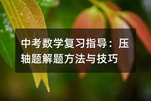 中考數學復習指導:壓軸題解題方法與技巧
