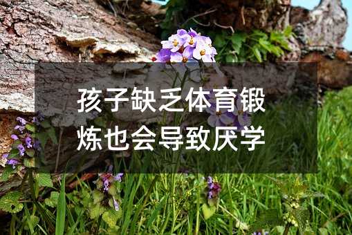 孩子缺乏體育鍛煉也會導致厭學
