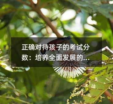 正確對待孩子的考試分?jǐn)?shù):培養(yǎng)全面發(fā)展的人才