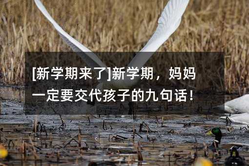 [W(xu)ځ(li)]W(xu)ڣһҪӵľžԒ
