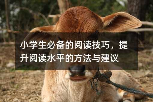 小學生必備的閱讀技巧,提升閱讀水平的方法與建議