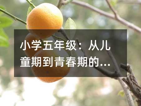 小學五年級:從兒童期到青春期的橋梁