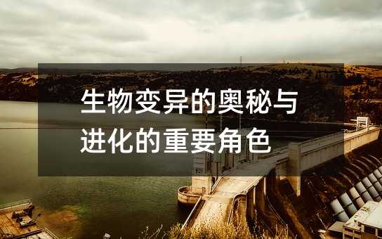 ׃ĊWcMҪɫ