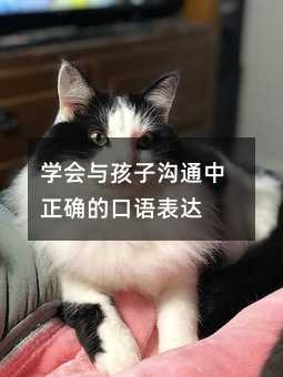 學會與孩子溝通中正確的口語表達