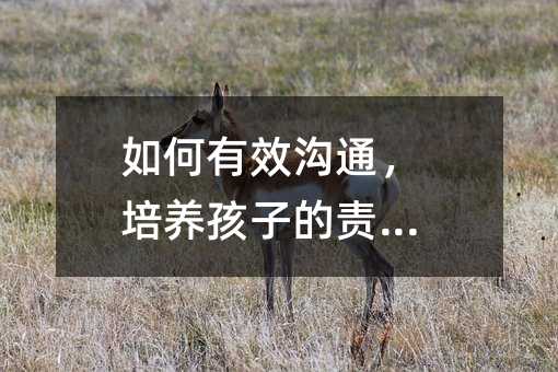如何有效溝通,培養(yǎng)孩子的責(zé)任感