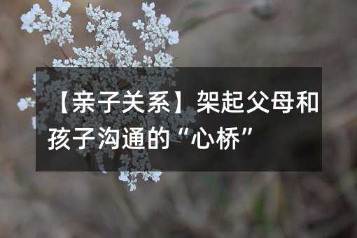 【親子關(guān)系】架起父母和孩子溝通的“心橋”