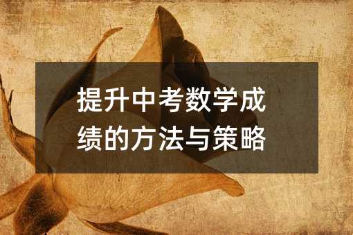 提升中考數學成績的方法與策略
