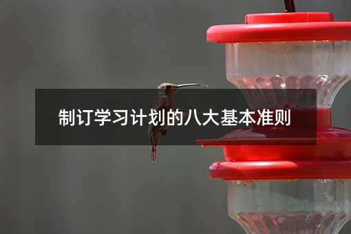 制訂學(xué)習(xí)計(jì)劃的八大基本準(zhǔn)則
