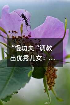 “慢功夫“調教出優秀兒女:一位母親的教子經驗
