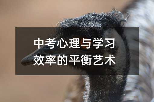 пcWЧʵƽˇg