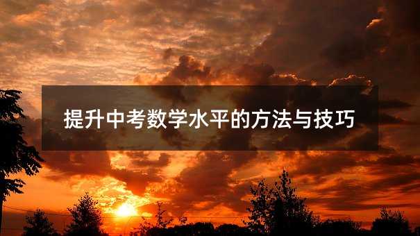 提升中考數學水平的方法與技巧
