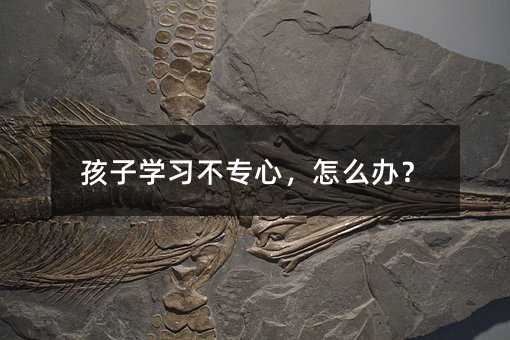 孩子學習不專心,怎么辦?