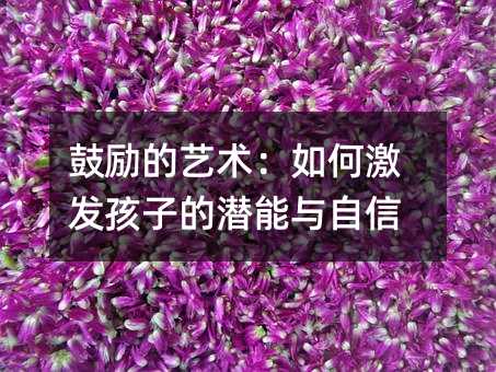 鼓勵的藝術:如何激發孩子的潛能與自信