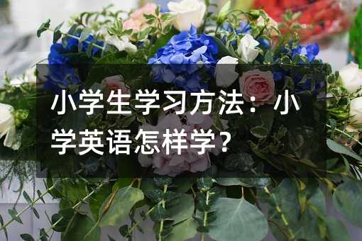 小學生學習方法:小學英語怎樣學?