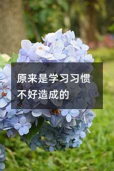 原來是學習習慣不好造成的