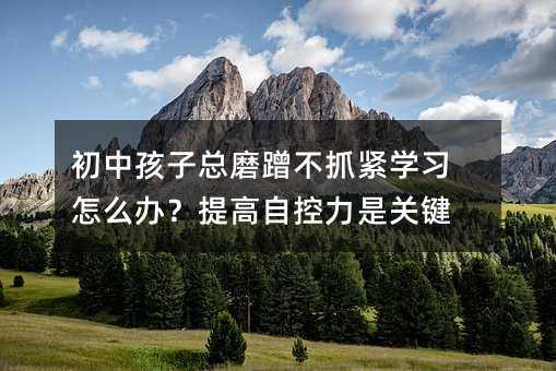 初中孩子總磨蹭不抓緊學(xué)習(xí)怎么辦?提高自控力是關(guān)鍵
