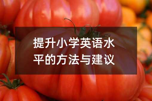 提升小學英語水平的方法與建議