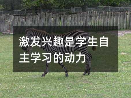 ldȤǌWWĄ