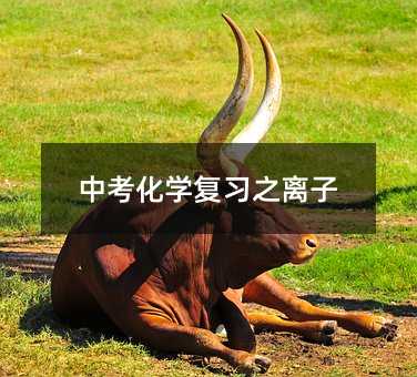 中考化學(xué)復(fù)習(xí)之離子