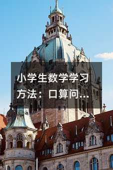 小學生數學學習方法:口算問題的成因與對策