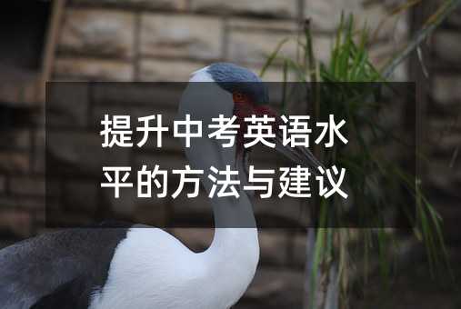 пӢZˮƽķch