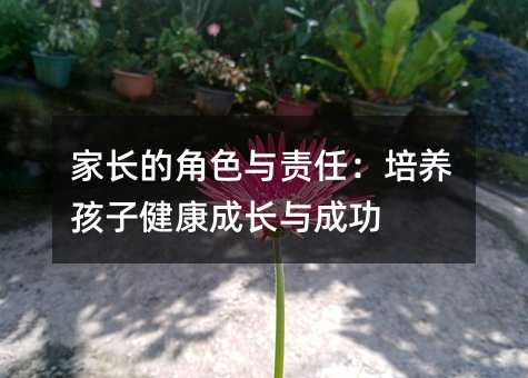 家長(zhǎng)的角色與責(zé)任:培養(yǎng)孩子健康成長(zhǎng)與成功