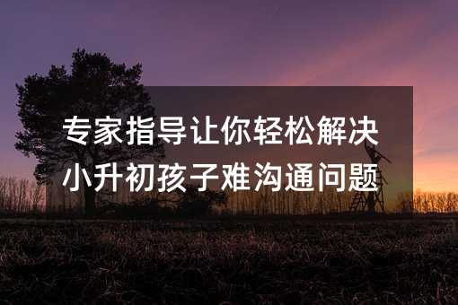 (zhun)ָ(do)׌pɽQСyͨ(wn)}