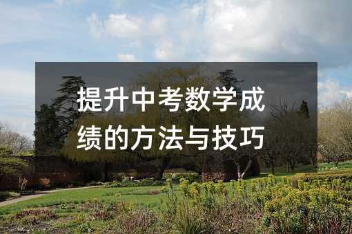 提升中考數學成績的方法與技巧