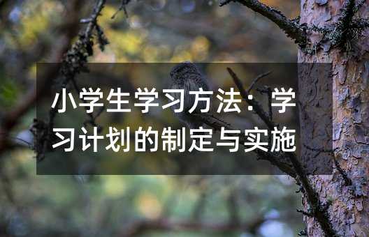 СW(xu)W(xu)(x)W(xu)(x)Ӌ(j)ƶc(sh)ʩ