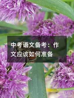 пZĂ俼đԓΜʂ