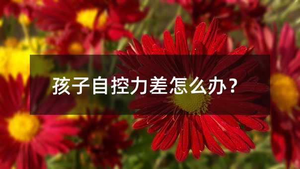 孩子自控力差怎么辦?