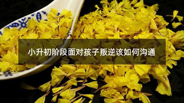 小升初階段面對孩子叛逆該如何溝通