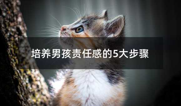 培養男孩責任感的5大步驟