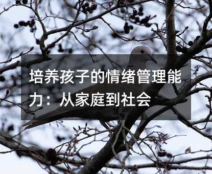 ���B���ӵ���w�����������ļ�ͥ�����