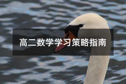 高二數學學習策略指南