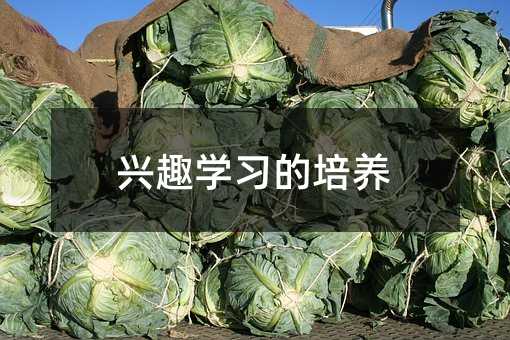 興趣學(xué)習(xí)的培養(yǎng)