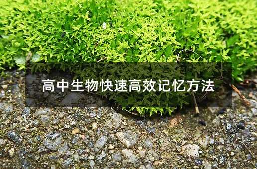 高中生物快速高效記憶方法