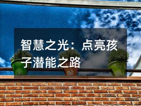 智慧之光:點亮孩子潛能之路