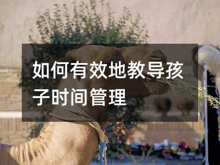 如何有效地教導(dǎo)孩子時間管理