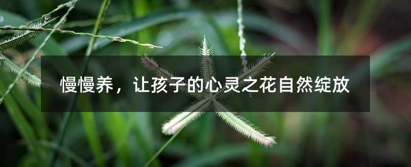 慢慢養,讓孩子的心靈之花自然綻放