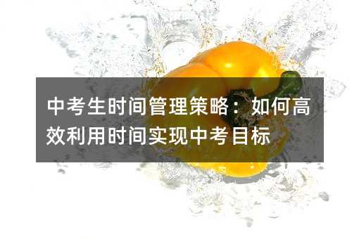 中考生時間管理策略:如何高效利用時間實現中考目標