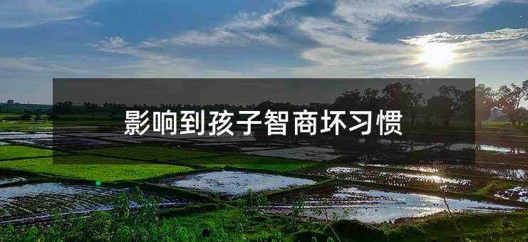 影響到孩子智商壞習慣