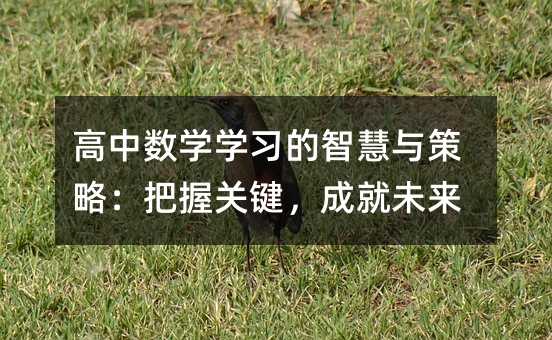 高中數(shù)學學習的智慧與策略:把握關鍵,成就未來