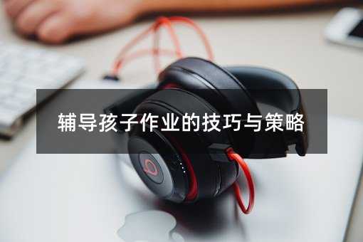 輔導(dǎo)孩子作業(yè)的技巧與策略