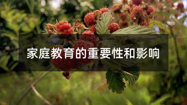 家庭教育的重要性和影響