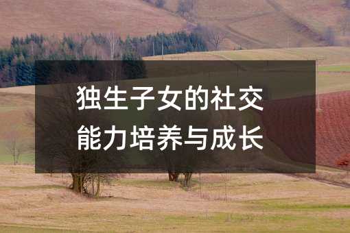 獨生子女的社交能力培養與成長