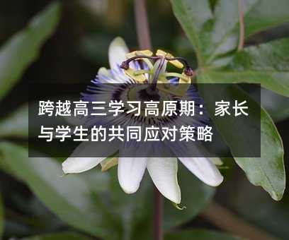 跨越高三學習高原期:家長與學生的共同應對策略