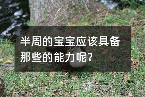 半周的寶寶應(yīng)該具備那些的能力呢?