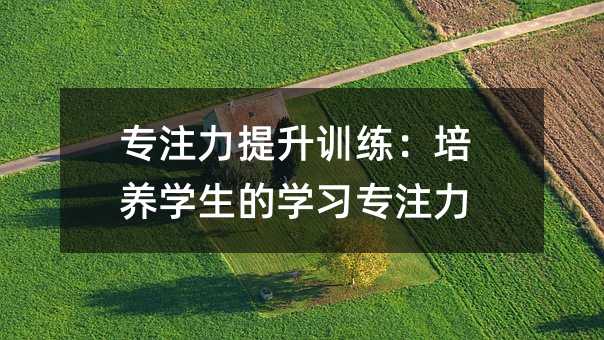 專(zhuān)注力提升訓(xùn)練:培養(yǎng)學(xué)生的學(xué)習(xí)專(zhuān)注力